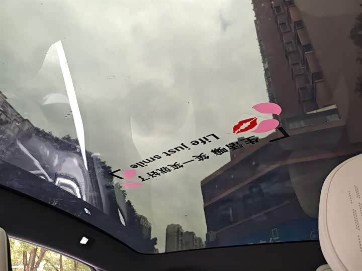 Фото 18 - Dongfeng Yipai eπ 007