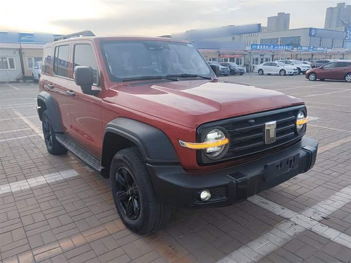 Фото 4 - Tank 300