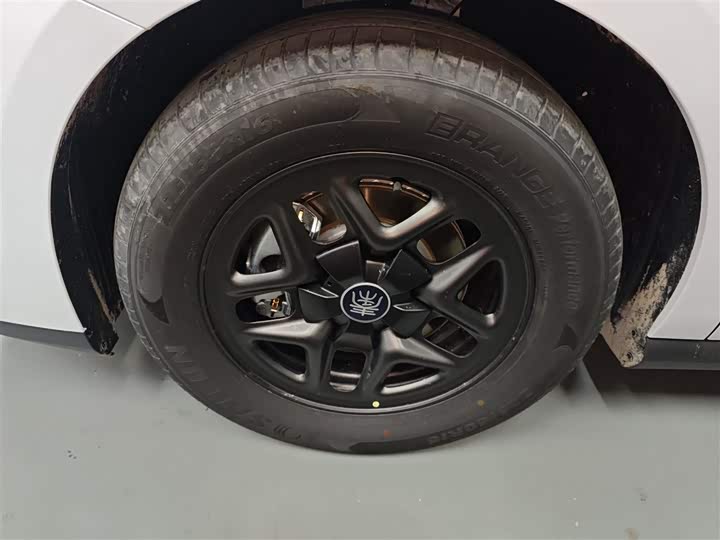 Фото 22 - BYD Qin Plus