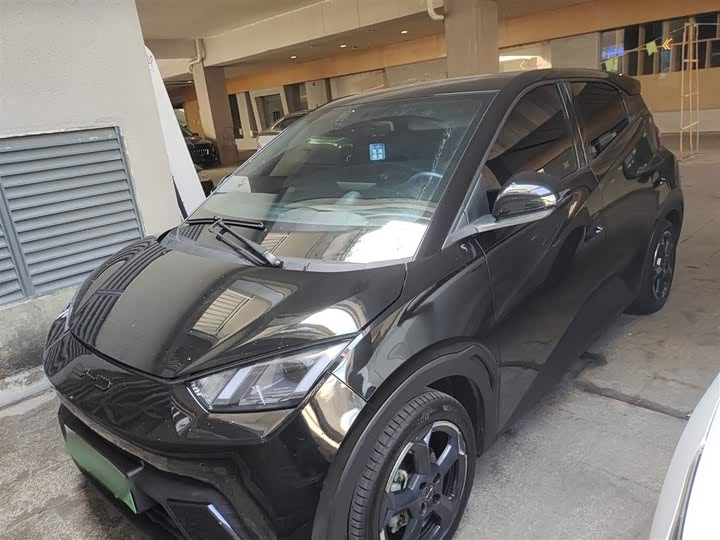 Фото 1 - BYD Seagull