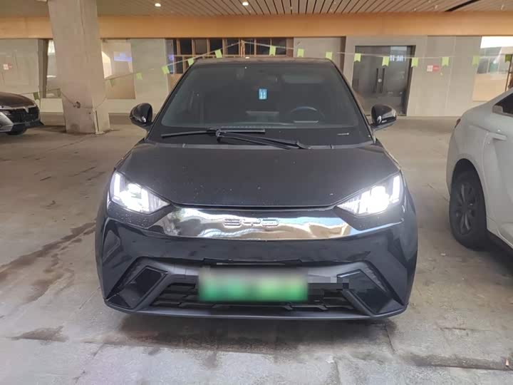 Фото 3 - BYD Seagull