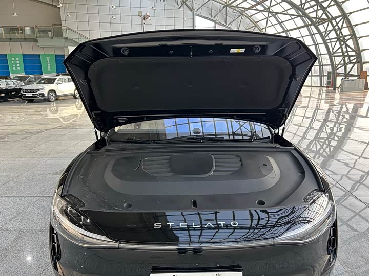 Фото 14 - Stelato S9