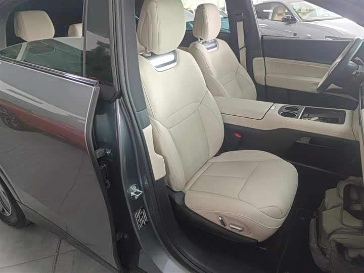 Фото 24 - XPeng G6