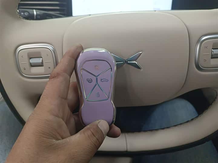 Фото 9 - XPeng G6