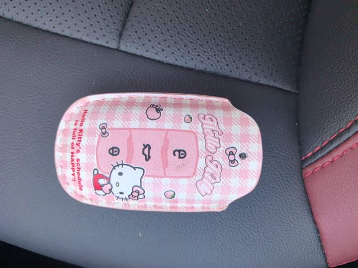 Фото 9 - Geely Vision X3