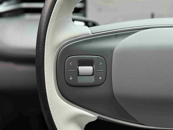 Фото 43 - XPeng G6