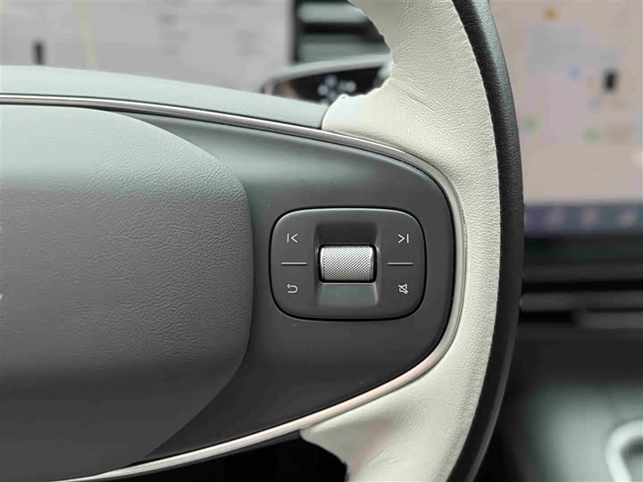 Фото 44 - XPeng G6