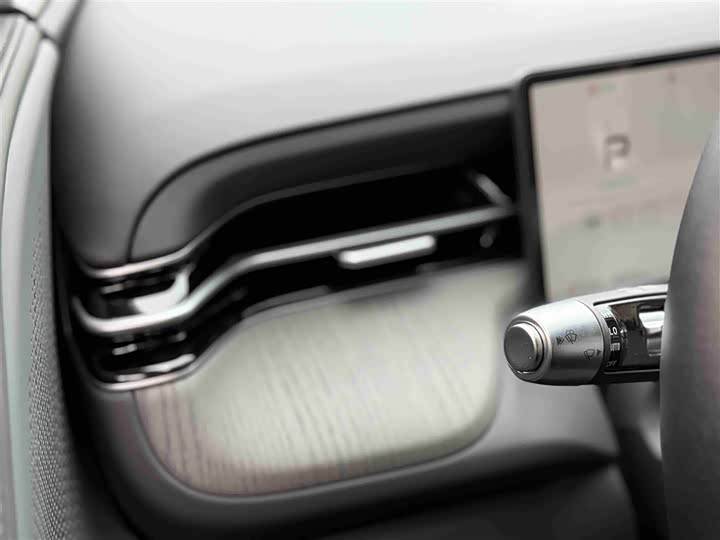 Фото 46 - XPeng G6