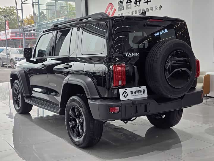 Фото 16 - Tank 300