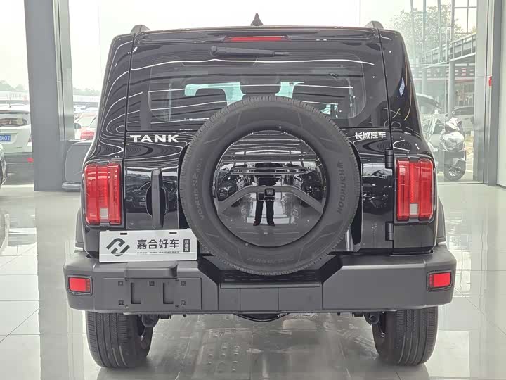 Фото 17 - Tank 300