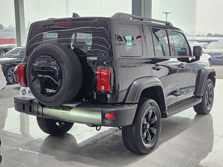 Фото 18 - Tank 300