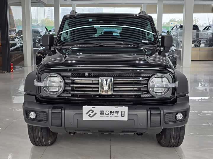 Фото 2 - Tank 300