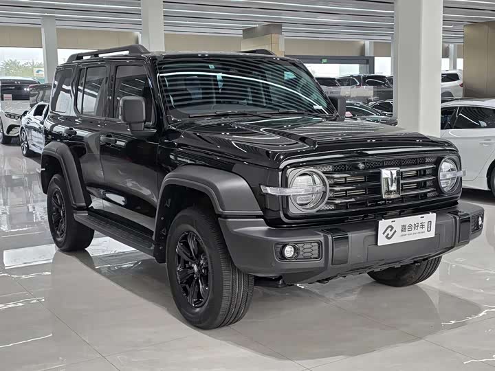 Фото 3 - Tank 300