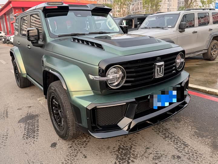 Фото 2 - Tank 300