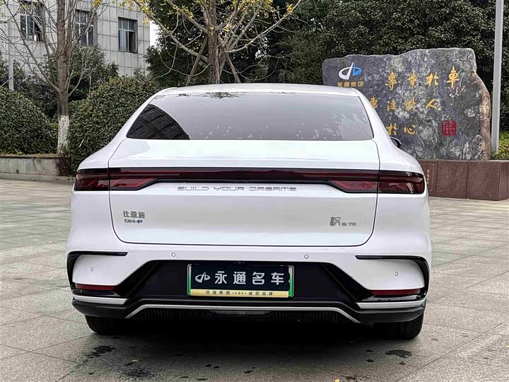 Фото 13 - BYD Han