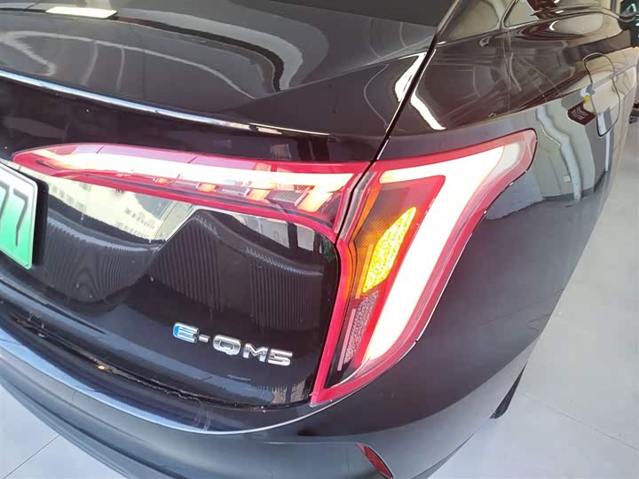 Фото 8 - Hongqi E-QM5