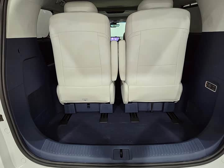 Фото 6 - Buick GL8 Century