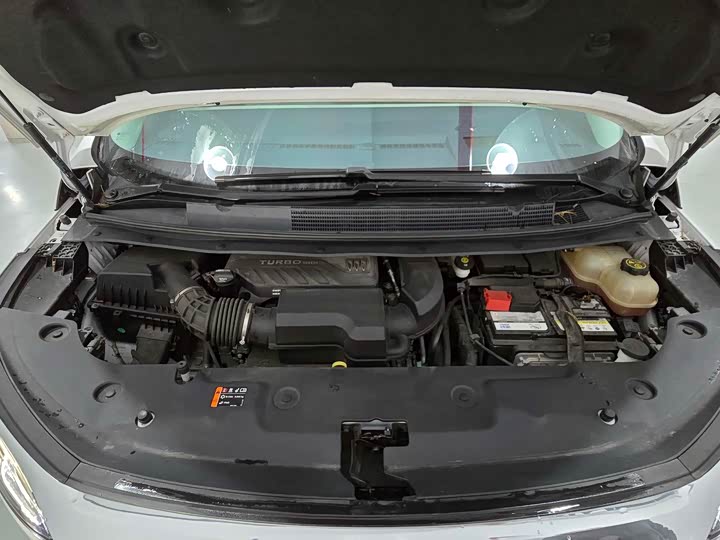 Фото 7 - Buick GL8 Century