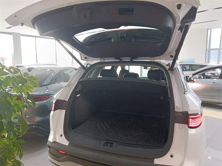 Фото 19 - BYD Sea Lion 05 DM-i Hybrid