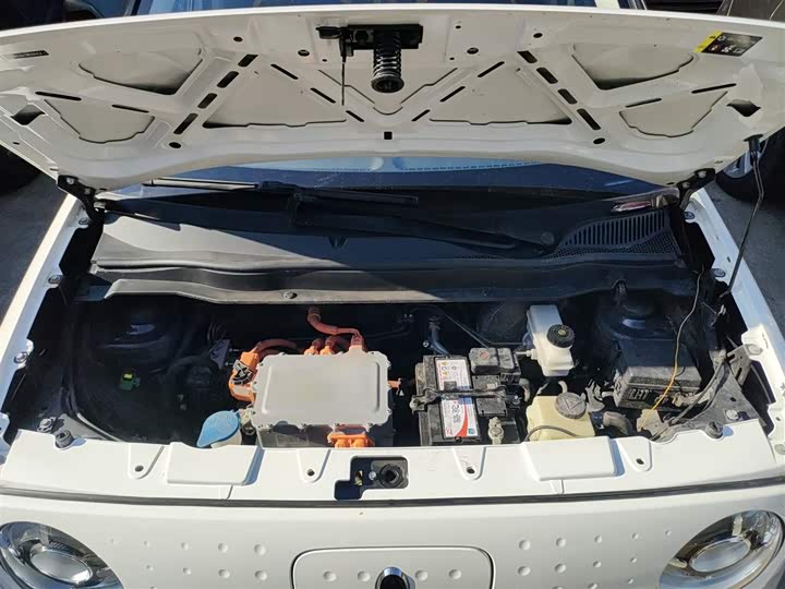 Фото 20 - Ora Black Cat