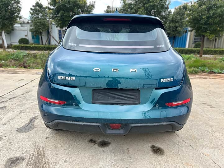 Фото 6 - Ora Good Cat (03)