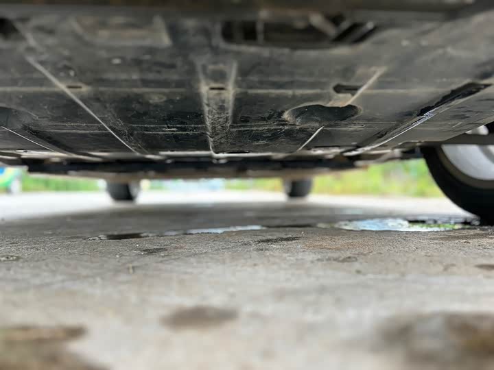 Фото 9 - Ora Good Cat (03)