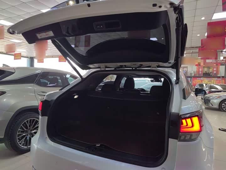 Фото 10 - Lexus RX