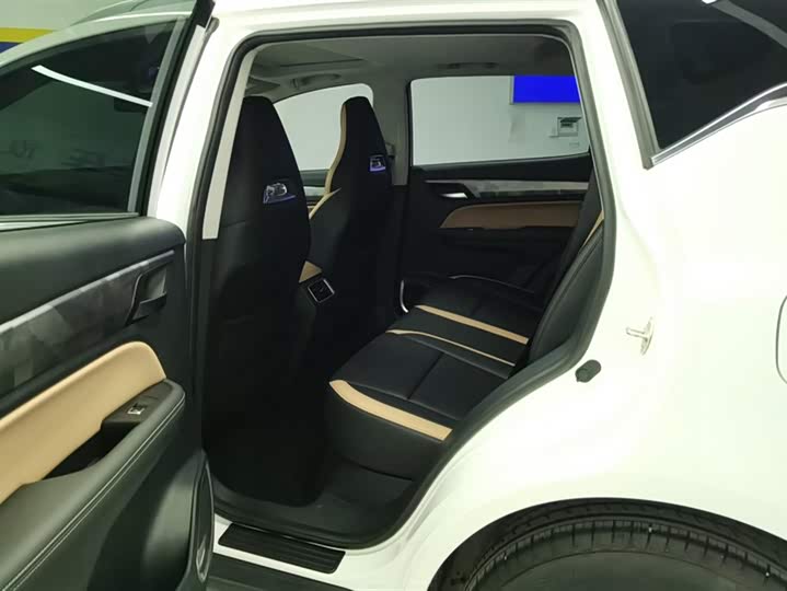 Фото 11 - Geely Okavango Pro