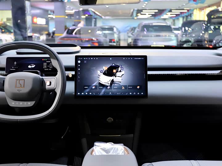 Фото 19 - Zeekr X