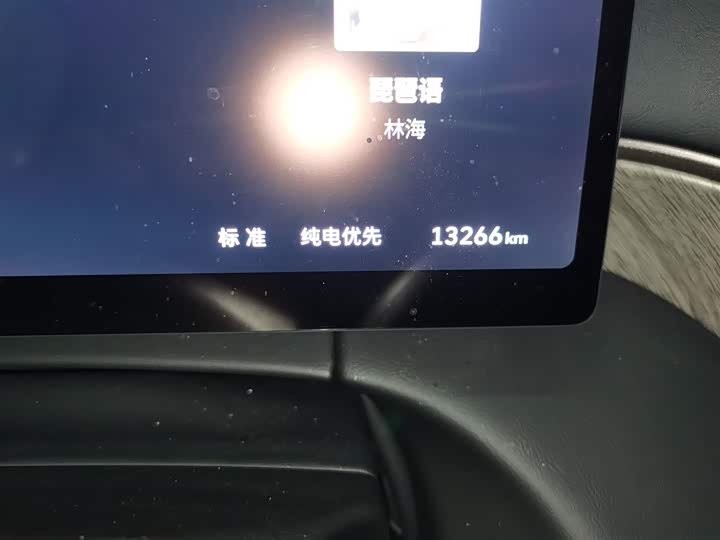 Фото 14 - Wey Gaoshan