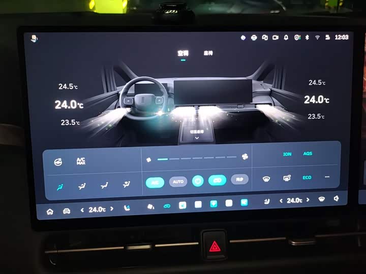 Фото 15 - Wey Gaoshan