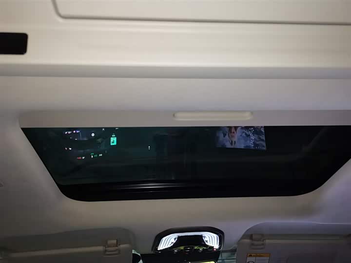 Фото 19 - Wey Gaoshan