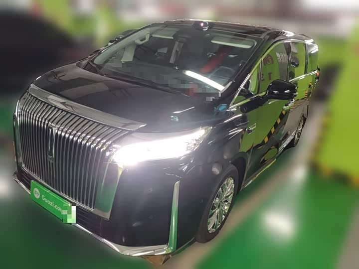 Фото 2 - Wey Gaoshan