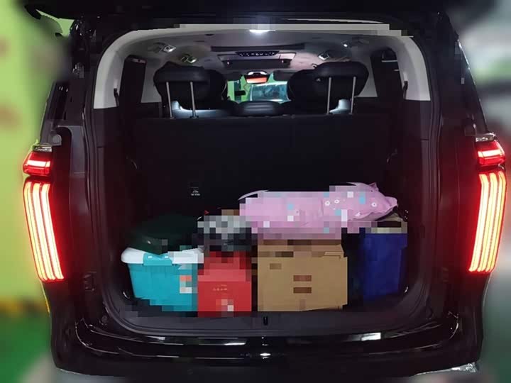 Фото 20 - Wey Gaoshan