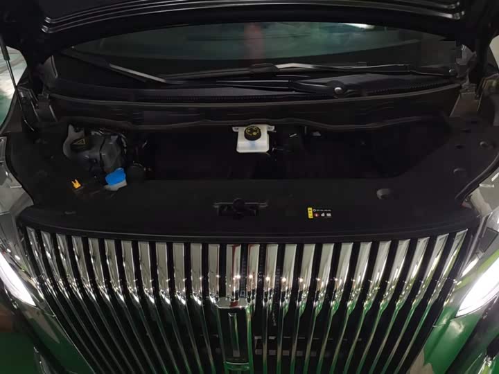 Фото 21 - Wey Gaoshan