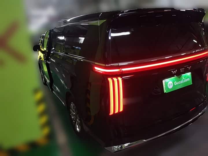 Фото 5 - Wey Gaoshan