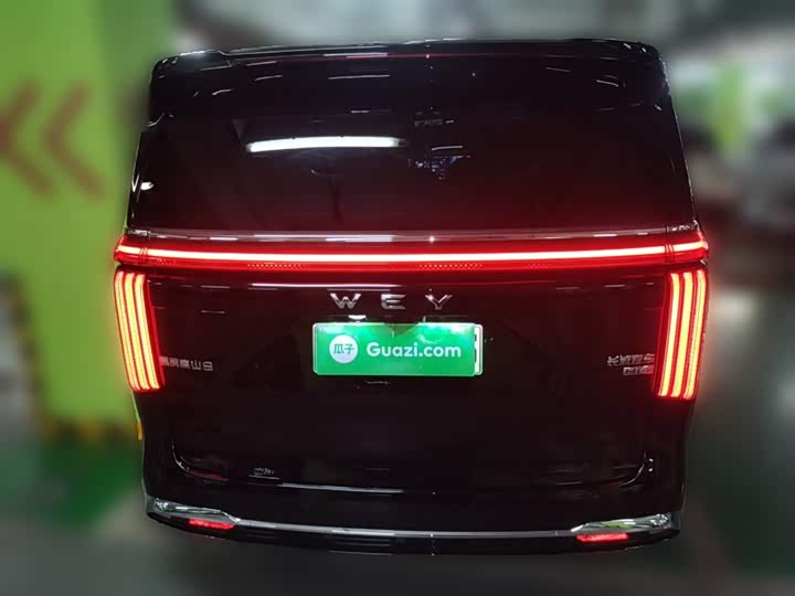 Фото 6 - Wey Gaoshan