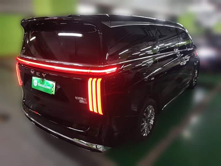 Фото 7 - Wey Gaoshan