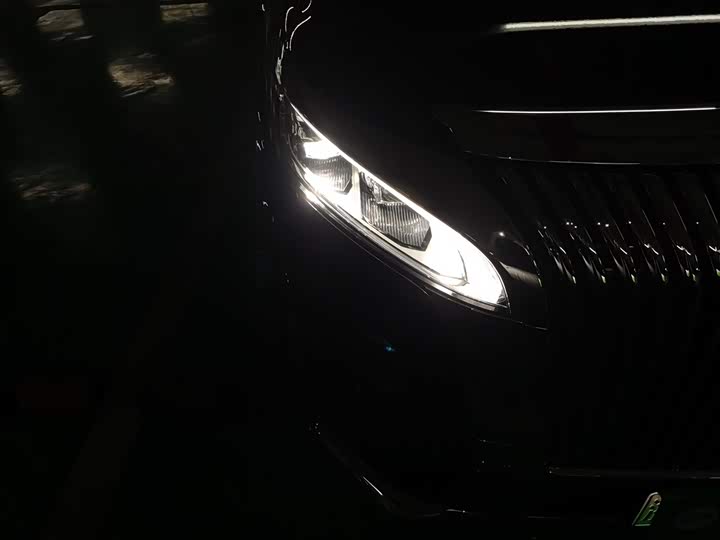 Фото 8 - Wey Gaoshan