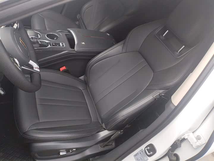 Фото 15 - Hongqi HS3 Hybrid