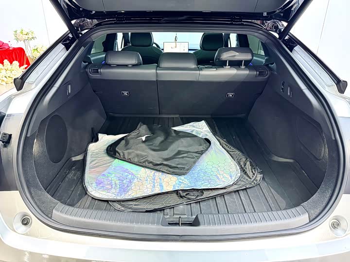 Фото 24 - XPeng F57