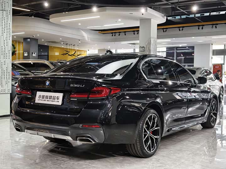 Фото 17 - BMW 5 Series