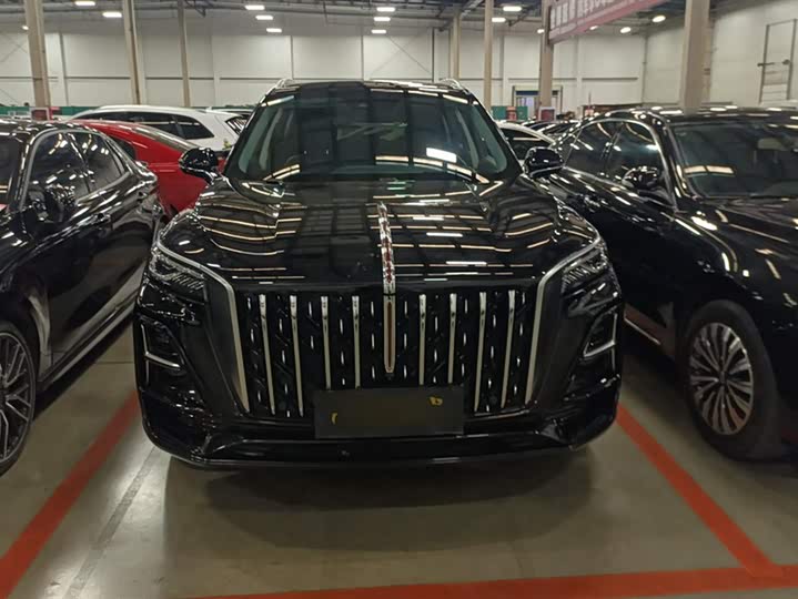 Фото 2 - Hongqi HS5