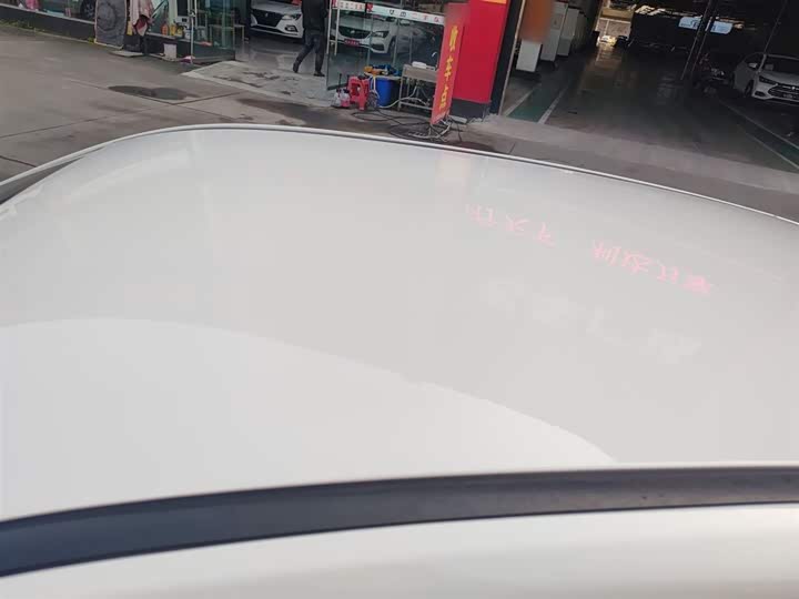 Фото 27 - Hozon V