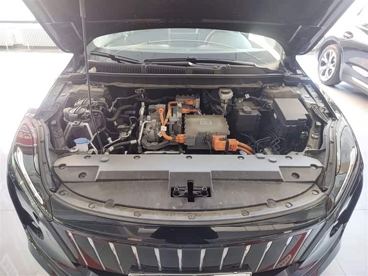 Фото 20 - Hongqi E-QM5