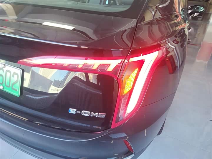 Фото 8 - Hongqi E-QM5