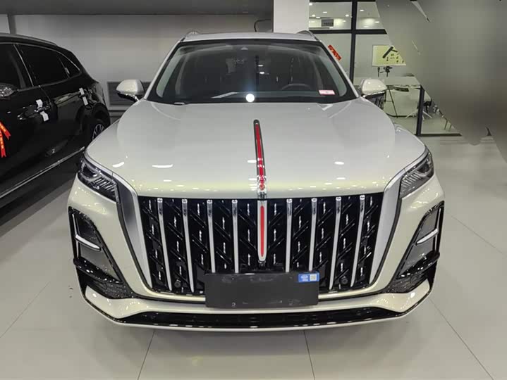 Фото 2 - Hongqi HS5