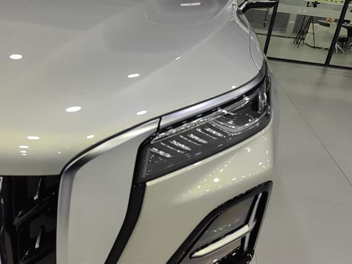 Фото 5 - Hongqi HS5