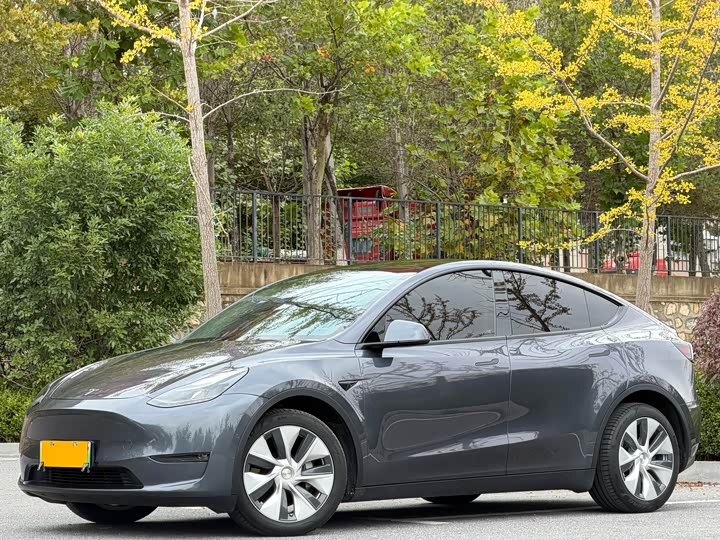 Фото 1 - Tesla Model Y