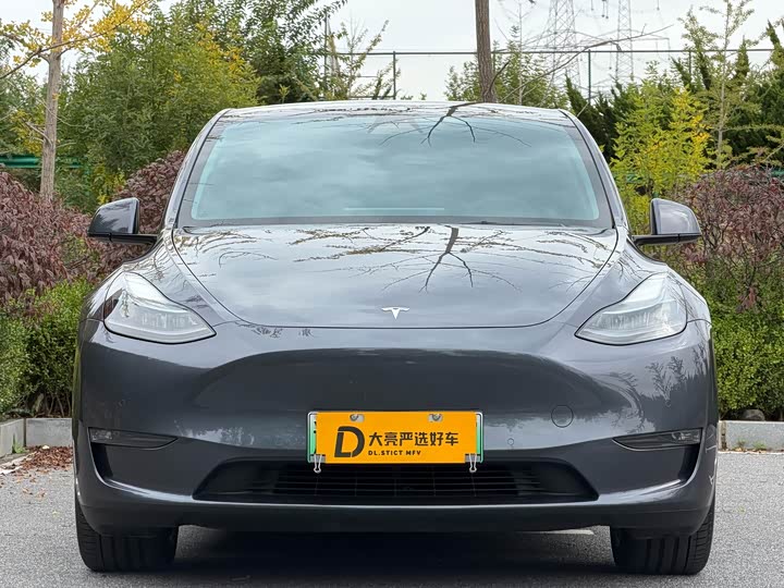 Фото 2 - Tesla Model Y